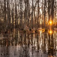White Oak Creek Ranch images 4