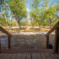 Llano River Pecan Orchard images 4
