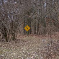 Bogie Property images 2