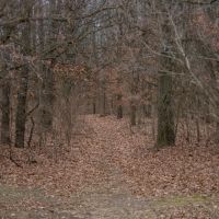 Bogie Property images 3