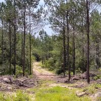 34 acres FM 92 T-12 images 2