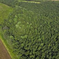 8.52 acres of Recreational Land For Sale in Duplin County NC images 4
