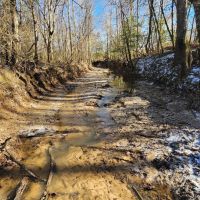 1 110 Acres in Jasper County MS