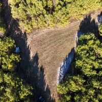 1 110 Acres in Jasper County MS images 3