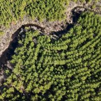 1 110 Acres in Jasper County MS images 5