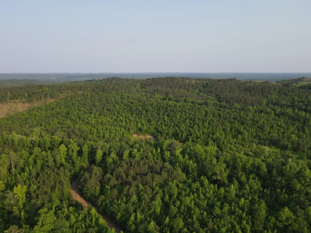 SOLD New Prospect Rd. 55 - ac featured image