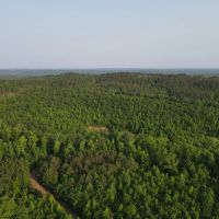 SOLD New Prospect Rd. 55 - ac