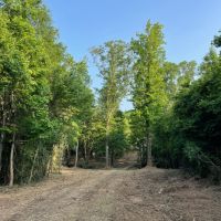 SOLD New Prospect Rd. 55 - ac images 4