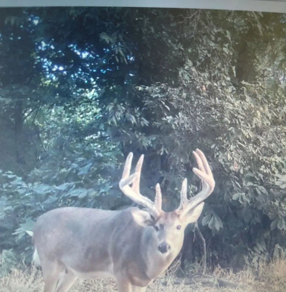 ONE Equity Share at Whistle Place Hunting Club featured image
