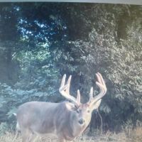 ONE Equity Share at Whistle Place Hunting Club