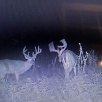 ONE Equity Share at Whistle Place Hunting Club images 2