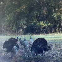 ONE Equity Share at Whistle Place Hunting Club images 3