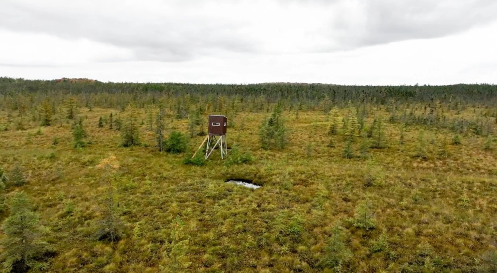 Marathon County Wisconsin 180 Acres For Sale REDUCED featured image