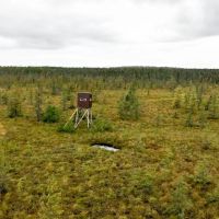 Marathon County Wisconsin 180 Acres For Sale REDUCED