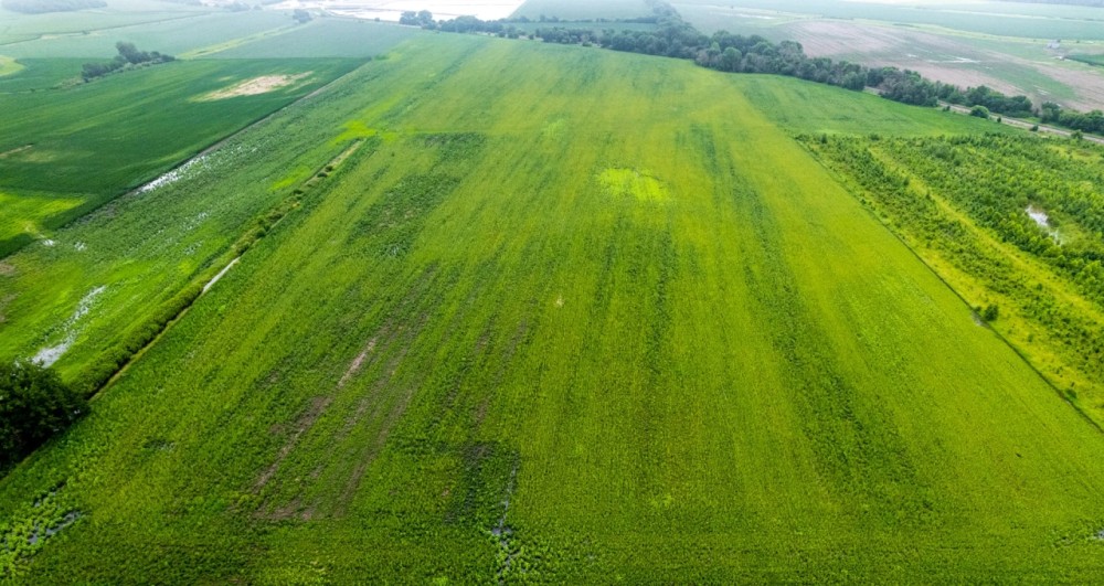 Rock Island County Illinois 103 Acres For Sale featured image