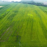 Rock Island County Illinois 103 Acres For Sale