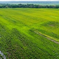 Rock Island County Illinois 103 Acres For Sale images 3