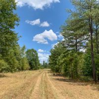 388 Acres The Game Preserve images 2
