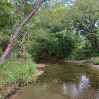 388 Acres The Game Preserve images 4