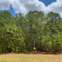388 Acres The Game Preserve images 5