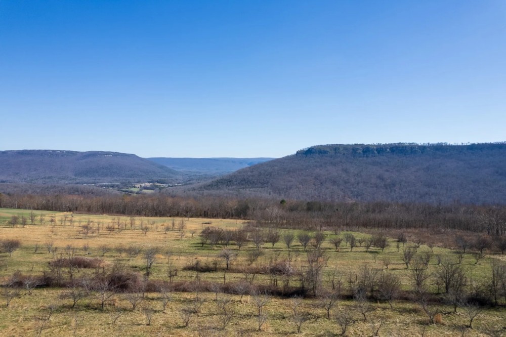 20 Acre Homestead Tract NE Alabama featured image