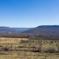 20 Acre Homestead Tract NE Alabama