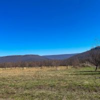 20 Acre Homestead Tract NE Alabama images 2