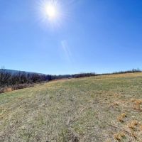 20 Acre Homestead Tract NE Alabama images 3