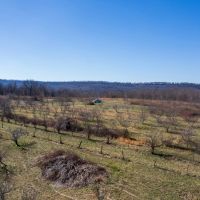 20 Acre Homestead Tract NE Alabama images 4