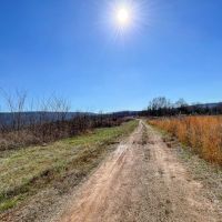 20 Acre Homestead Tract NE Alabama images 5