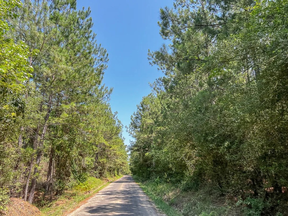 25 Acres T-7 Saron featured image