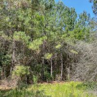 25 Acres T-7 Saron images 4