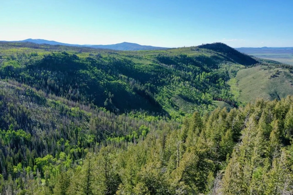 Independence Mountain Ranch featured image
