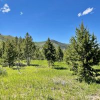 Independence Mountain Ranch images 3