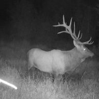 Independence Mountain Ranch images 4