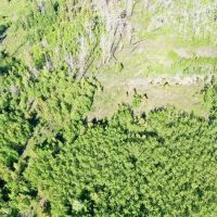 Independence Mountain Ranch images 5