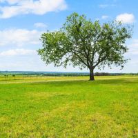 TBD CR 218 Unit 16 Hico Texas 76457