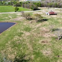 Summers AR 176 acres images 5