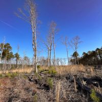 22 acres of Residential and Recreational Land For Sale in Prince George County VA images 5