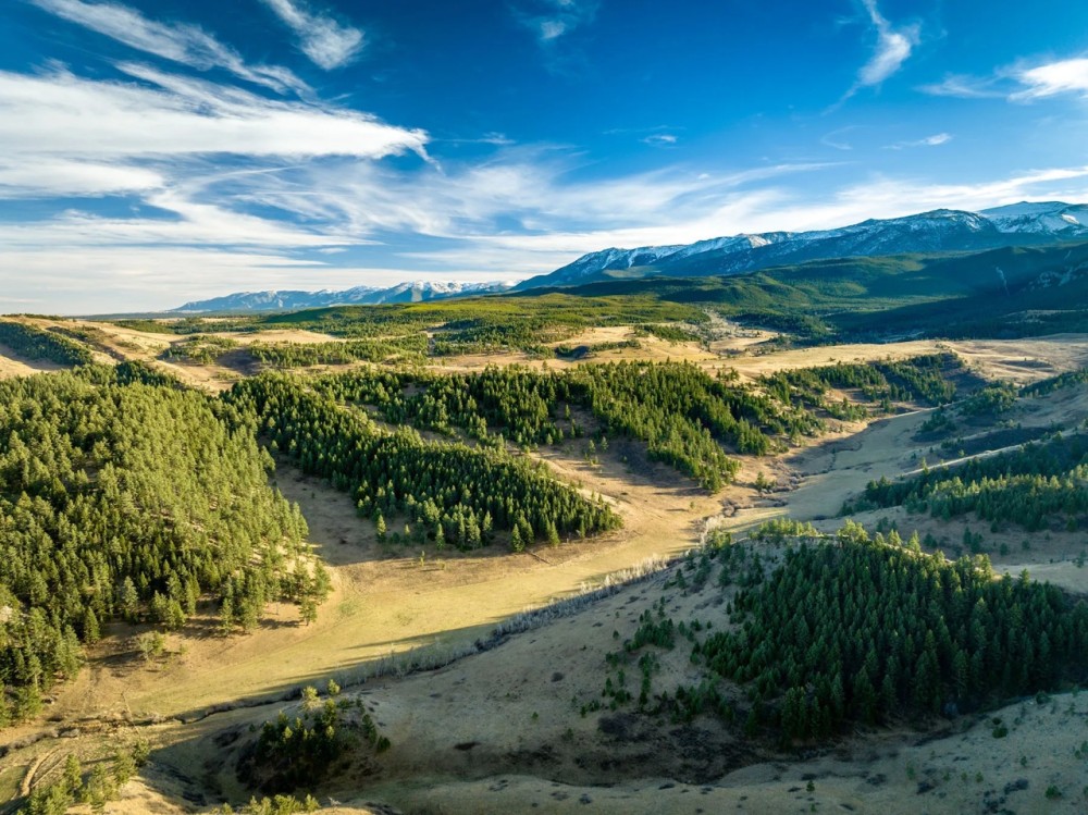 Beartooth Foothills Ranch featured image