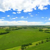 Hillsboro Tract 6 12 Acre Only 15K Down images 2
