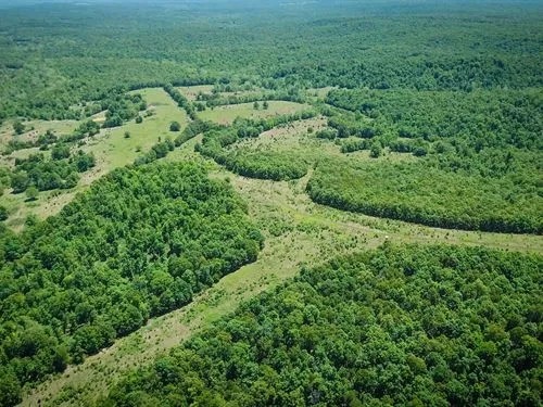 Land for Sale in Arkansas featured image