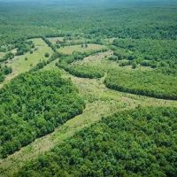 Land for Sale in Arkansas