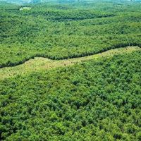 Land for Sale in Arkansas images 2