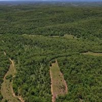 Land for Sale in Arkansas images 4
