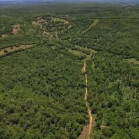 Land for Sale in Arkansas images 5