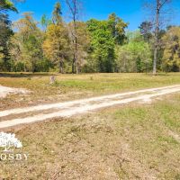 Blue Lake Tract images 3