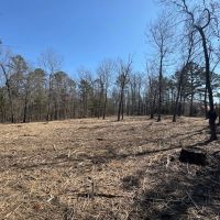 Affordable All Wooded Tract With Gentle Terrain In Southern MO images 2
