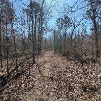 Affordable All Wooded Tract With Gentle Terrain In Southern MO images 3