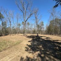 Affordable All Wooded Tract With Gentle Terrain In Southern MO images 5